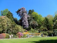 Villa Carlotta &ndash; &copy; Petra Sauer (Eberhardt TRAVEL)