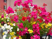P1150380 &ndash; &copy; Kathrin Mickan (Eberhardt TRAVEL)