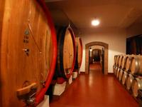 Weingut Zonin &ndash; &copy; Kathrin Mickan (Eberhardt TRAVEL)
