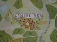 Weingebiet Gambellara &ndash; &copy; Kathrin Mickan (Eberhardt TRAVEL)