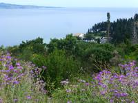 Korfu Küste &ndash; &copy; Kathrin Mickan (Eberhardt TRAVEL)