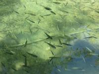 Nationalpark Krka &ndash; &copy; Heike Meinhold (Eberhardt TRAVEL)