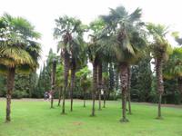 Park Giadino Sigurta &ndash; &copy; Heike Meinhold (Eberhardt TRAVEL)