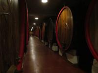 Weingut ZONIN (4) &ndash; &copy; Laura Wonneberger (Eberhardt TRAVEL)