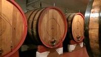 Weingut Zonin &ndash; &copy; Sylvia Lehnort (Eberhardt TRAVEL)