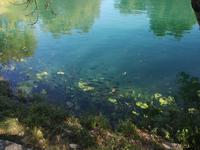 Krka Nationalpark &ndash; &copy; Eva Sieglow (Eberhardt TRAVEL)