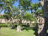 Frascati_Aldobrandini (2) &ndash; &copy; Andreas Höhn (Eberhardt TRAVEL)