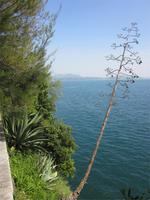 Lago_Maggiore_Isola_Madre (16) &ndash; &copy; Andreas Höhn (Eberhardt TRAVEL)