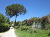 Ninfa (22) &ndash; &copy; Andreas Höhn (Eberhardt TRAVEL)