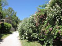 Ninfa (23) &ndash; &copy; Andreas Höhn (Eberhardt TRAVEL)