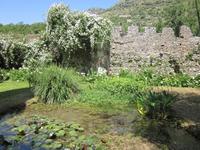 Ninfa (28) &ndash; &copy; Andreas Höhn (Eberhardt TRAVEL)