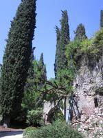 Ninfa (5) &ndash; &copy; Andreas Höhn (Eberhardt TRAVEL)