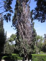 Tivoli_Villa_Este (3) &ndash; &copy; Andreas Höhn (Eberhardt TRAVEL)