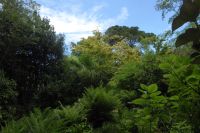 Tag 2 14.05.2022 Heller Garten, Gardone  &ndash; &copy; Gabriele Sauer (Eberhardt TRAVEL)