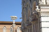 Tag 4 16.05.2022 Siena &ndash; &copy; Gabriele Sauer (Eberhardt TRAVEL)