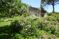 Tag 6 18.05.2022 Ninfagarten &ndash; &copy; Gabriele Sauer (Eberhardt TRAVEL)