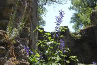 Tag 6 18.05.2022 Ninfagarten  &ndash; &copy; Gabriele Sauer (Eberhardt TRAVEL)