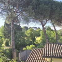 31 Blick aus dem Hotel in Marino.jpg &ndash; &copy; Lutz Finkler (Eberhardt TRAVEL)