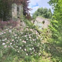 32 Ninfa.jpg &ndash; &copy; Lutz Finkler (Eberhardt TRAVEL)