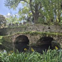 41 Ninfa &ndash; &copy; Lutz Finkler (Eberhardt TRAVEL)