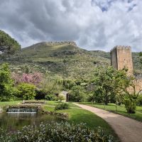 44 Ninfa