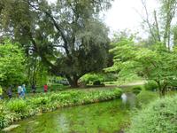 Ninfagarten &ndash; &copy; Grit Wendelberger (Eberhardt TRAVEL)