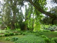 Ninfagarten &ndash; &copy; Grit Wendelberger (Eberhardt TRAVEL)