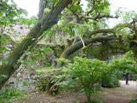 Ninfagarten &ndash; &copy; Grit Wendelberger (Eberhardt TRAVEL)