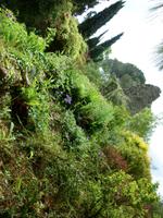 Ninfagarten &ndash; &copy; Grit Wendelberger (Eberhardt TRAVEL)