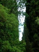 Ninfagarten &ndash; &copy; Grit Wendelberger (Eberhardt TRAVEL)