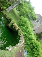 Ninfagarten &ndash; &copy; Grit Wendelberger (Eberhardt TRAVEL)