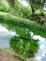 Ninfagarten &ndash; &copy; Grit Wendelberger (Eberhardt TRAVEL)