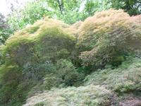 Ninfagarten &ndash; &copy; Grit Wendelberger (Eberhardt TRAVEL)