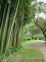Ninfagarten &ndash; &copy; Grit Wendelberger (Eberhardt TRAVEL)