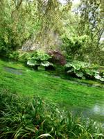 Ninfagarten &ndash; &copy; Grit Wendelberger (Eberhardt TRAVEL)