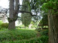 Ninfagarten &ndash; &copy; Grit Wendelberger (Eberhardt TRAVEL)