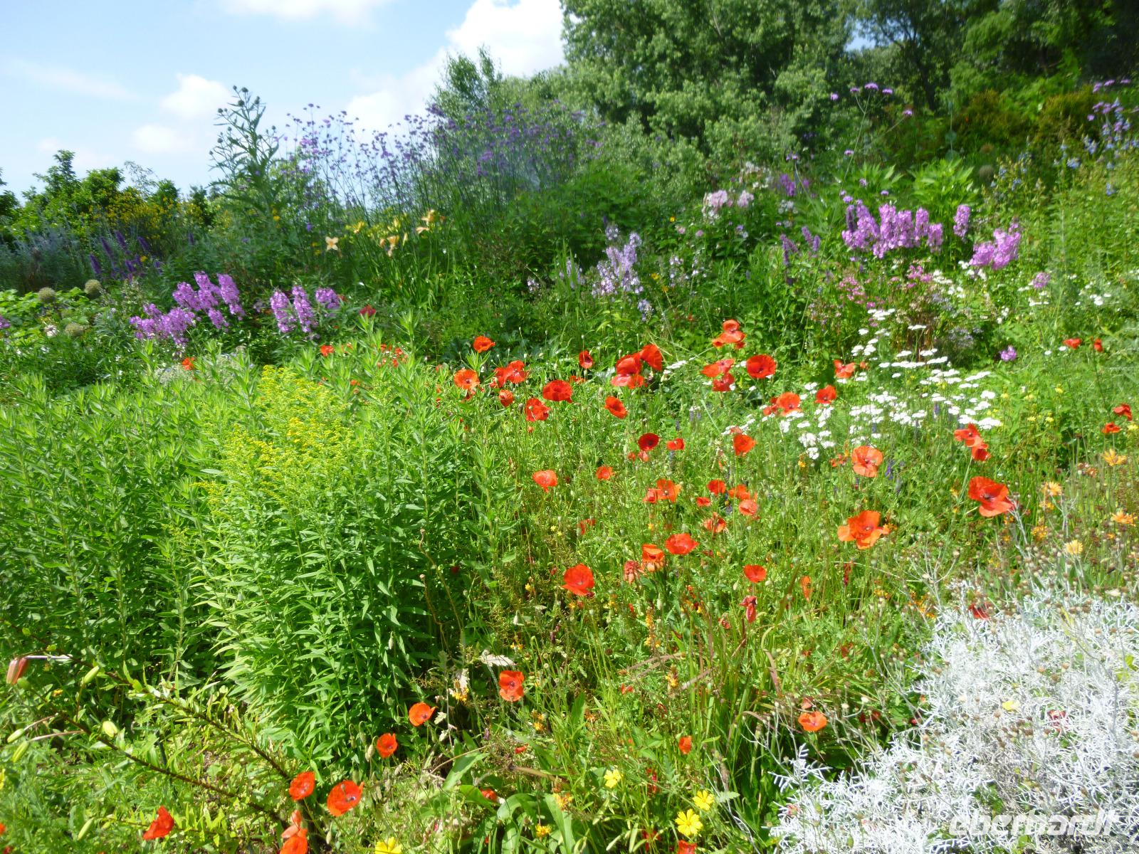 Ninfagarten &ndash; &copy; Grit Wendelberger (Eberhardt TRAVEL)