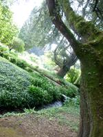 Ninfagarten &ndash; &copy; Grit Wendelberger (Eberhardt TRAVEL)