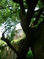 Ninfagarten &ndash; &copy; Grit Wendelberger (Eberhardt TRAVEL)