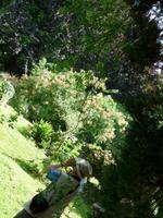 Ninfagarten &ndash; &copy; Grit Wendelberger (Eberhardt TRAVEL)