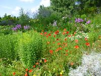 Ninfagarten &ndash; &copy; Grit Wendelberger (Eberhardt TRAVEL)