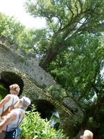 Ninfagarten &ndash; &copy; Grit Wendelberger (Eberhardt TRAVEL)