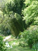 Ninfagarten &ndash; &copy; Grit Wendelberger (Eberhardt TRAVEL)