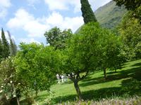 Ninfagarten &ndash; &copy; Grit Wendelberger (Eberhardt TRAVEL)