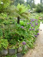 Hellergarten &ndash; &copy; Grit Wendelberger (Eberhardt TRAVEL)