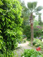 Hellergarten &ndash; &copy; Grit Wendelberger (Eberhardt TRAVEL)