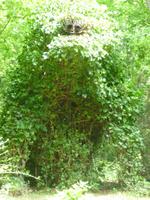 Spoerrigarten &ndash; &copy; Grit Wendelberger (Eberhardt TRAVEL)