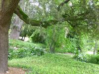 Ninfagarten &ndash; &copy; Grit Wendelberger (Eberhardt TRAVEL)