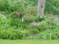 Ninfagarten &ndash; &copy; Grit Wendelberger (Eberhardt TRAVEL)