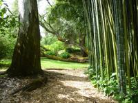 Ninfagarten &ndash; &copy; Grit Wendelberger (Eberhardt TRAVEL)